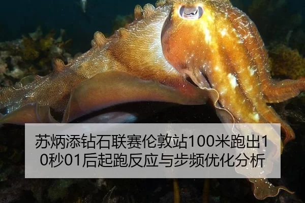 苏炳添钻石联赛伦敦站100米跑出10秒01后起跑反应与步频优化分析